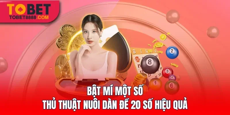 Bật mí một số thủ thuật nuôi dàn đề 20 số hiệu quả