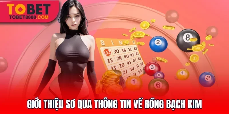 Giới thiệu sơ qua thông tin về Rồng Bạch Kim