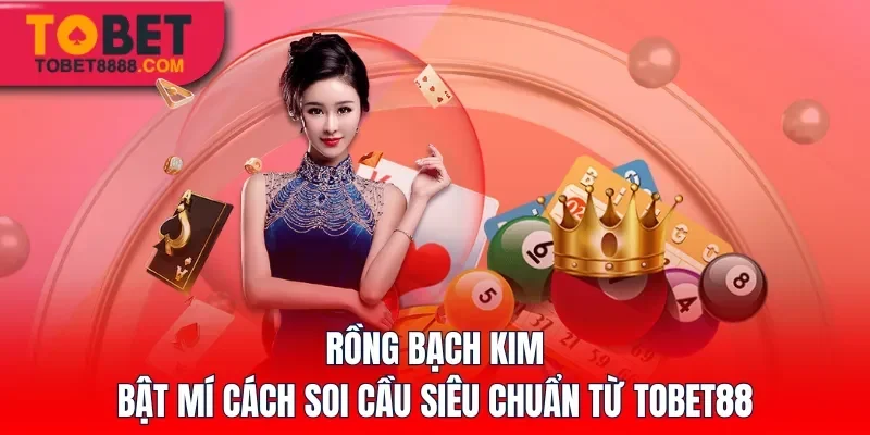Rồng Bạch Kim – Bật Mí Cách Soi Cầu Siêu Chuẩn Từ Tobet88